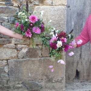 Journée immersion à la ferme florale en Bretagne