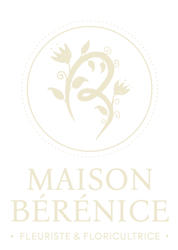 MAISON_BERENICE-LOGO